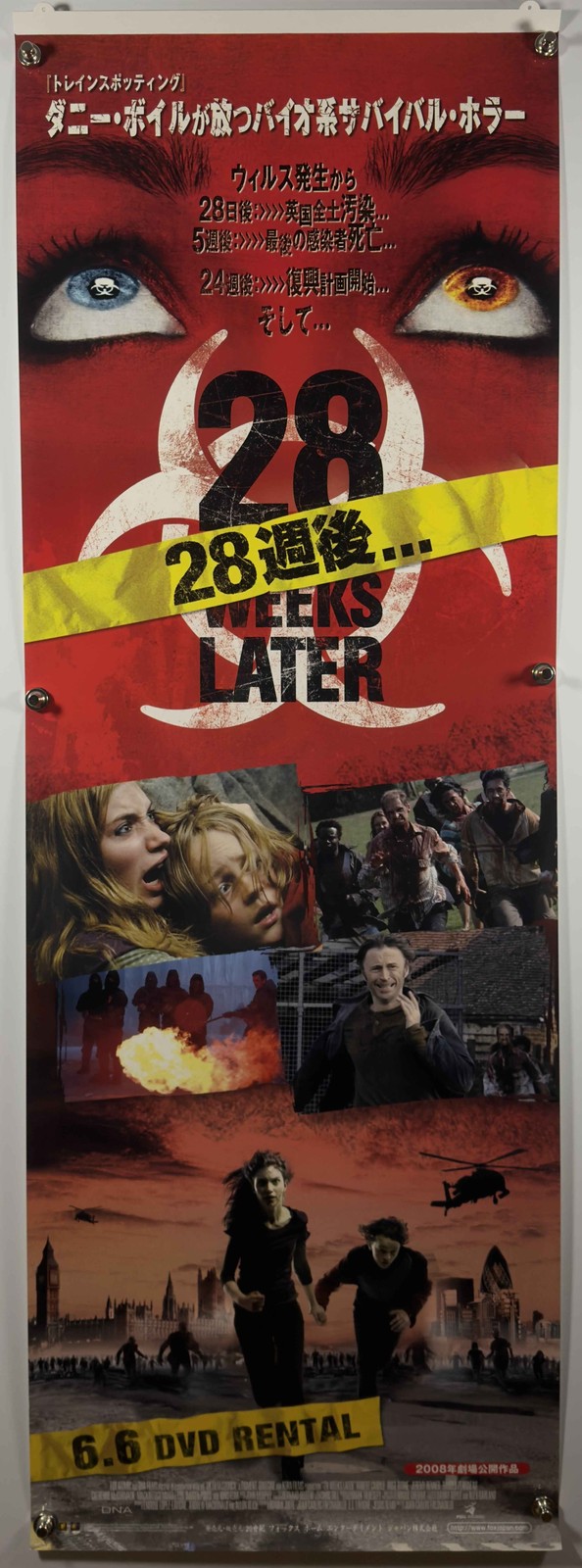 28 WEEKS LATER 2008 Original Japanese DVD Rental Poster/Banner SS Rolled Horror