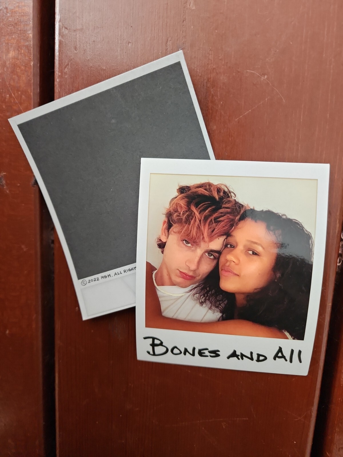 Bones And All Movie Theater Polaroid Picture Photo Promo Timothee Chalamet RARE