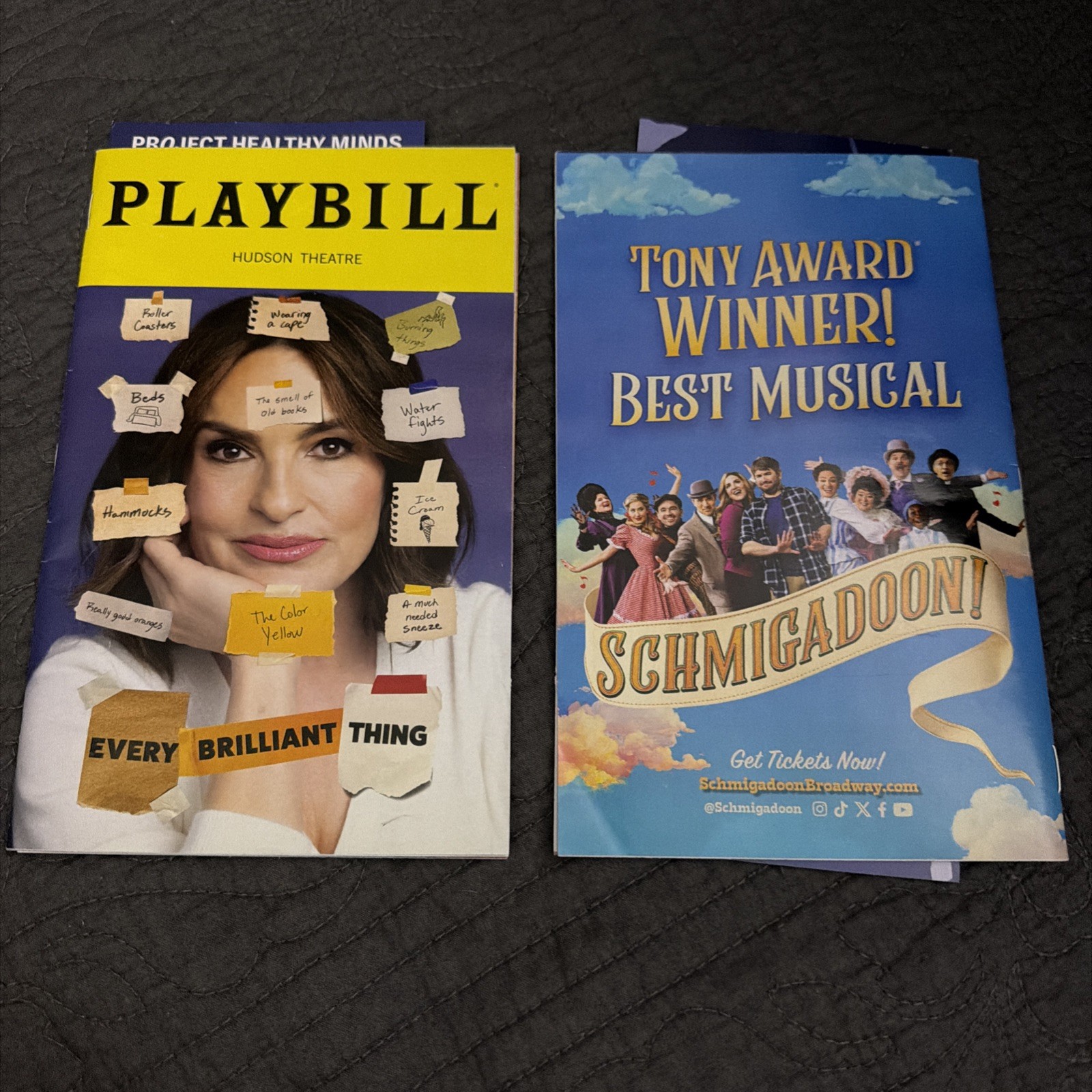 Every Brilliant Thing Playbill Hudson Theatre Mint Mariska Hargitay NYC July ‘26