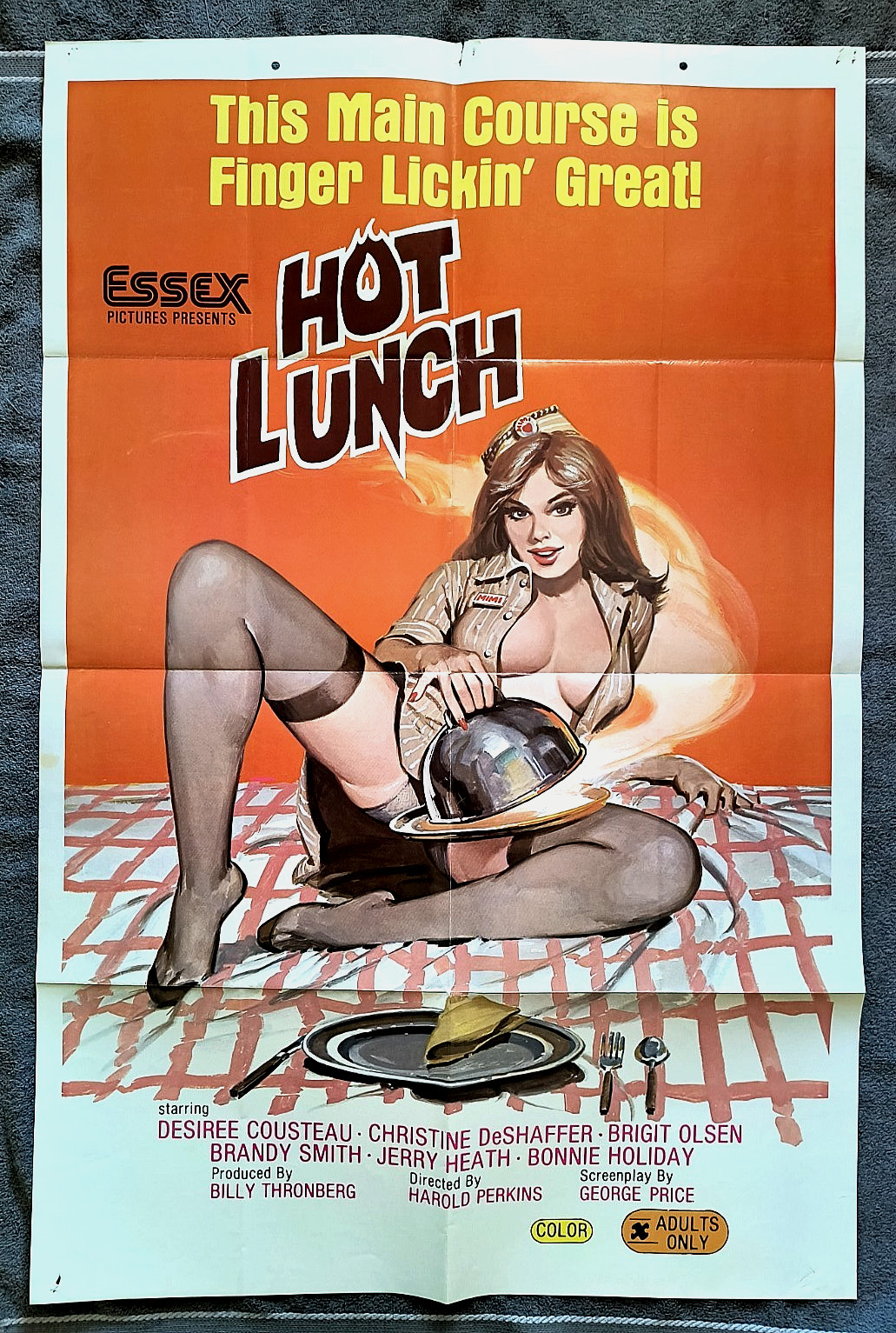 Hot Lunch Movie Poster SEXPLOITATION Desiree Cousteau SHARON KANE Bonnie Holiday