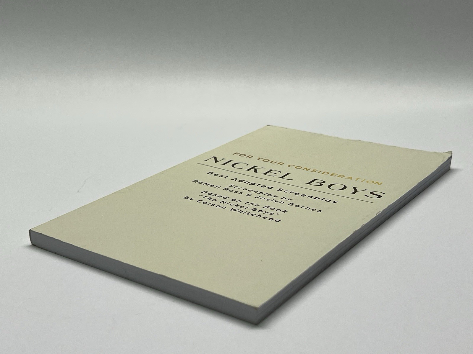 NICKEL BOYS FYC For Your Consideration Best Adapted Screenplay Script