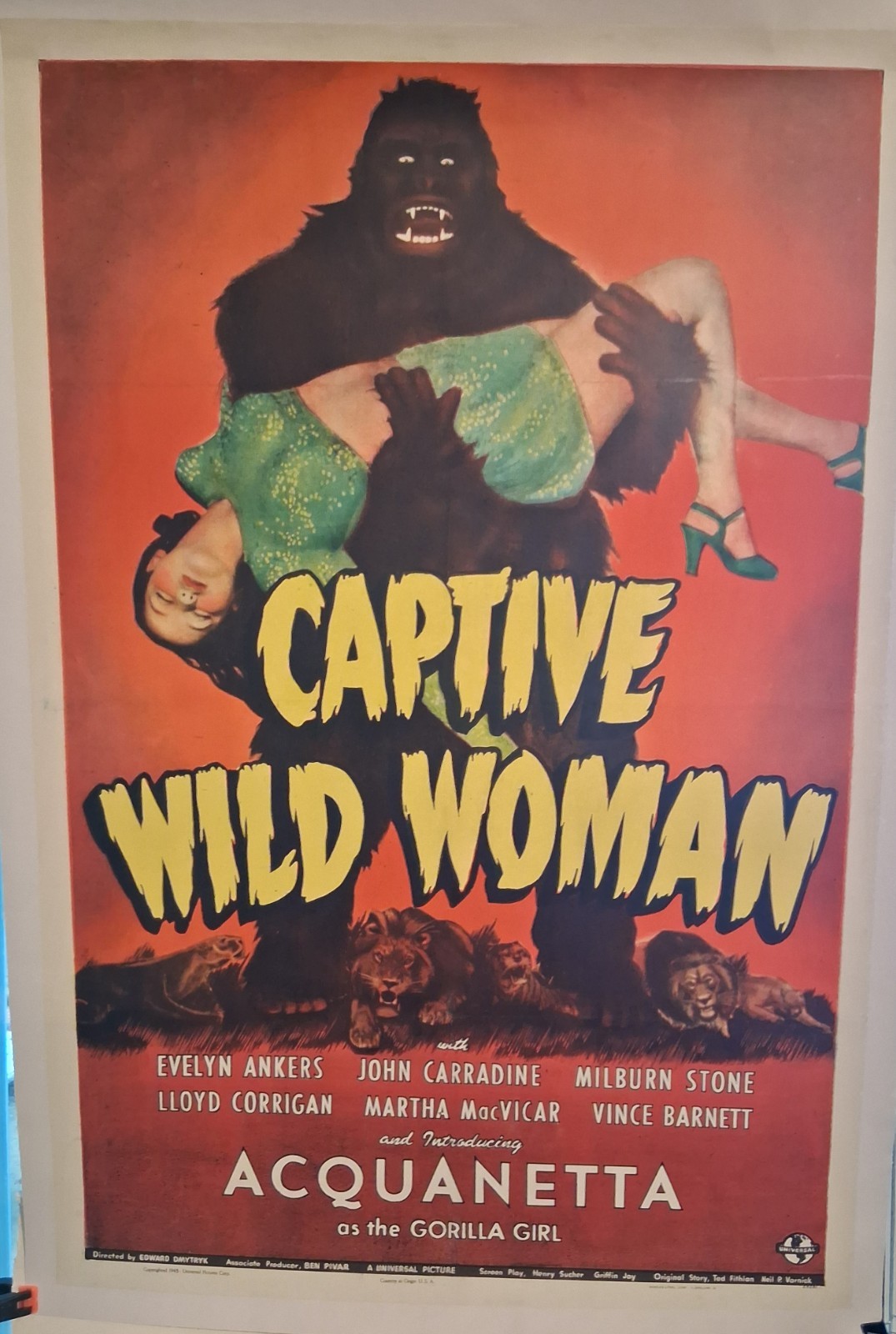 1943 Captive Wild Woman Original Movie Poster Linen 27×41 Cult Horror Acquanetta