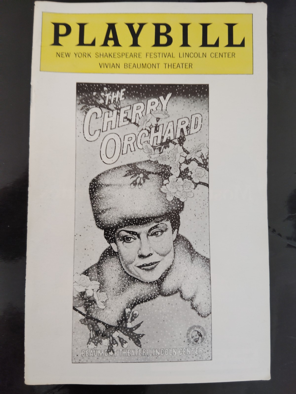 Meryl Streep & Raul Julia in The Cherry Orchard 1977 Vivian Beaumont Theatre NY