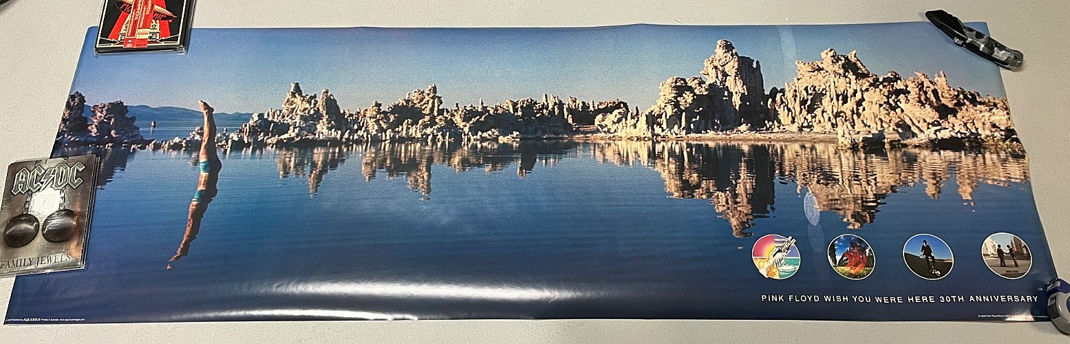 Pink Floyd – Wish You Were Here – 30th Anniversary Door Poster 21″x62.5″ Gilmour