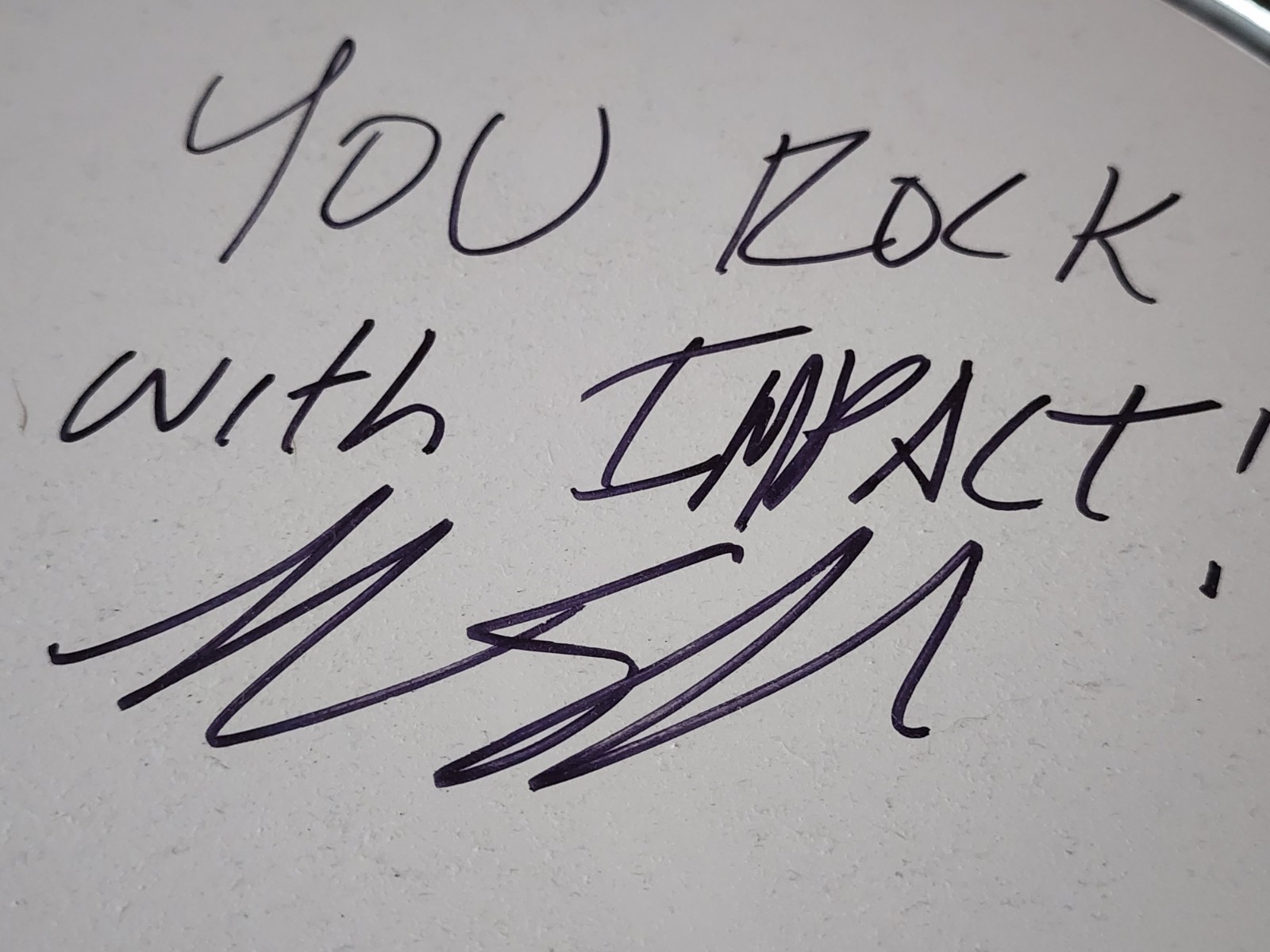Mark Schulman Autographed Drum P!NK, Billy Idol, Foreigner, Stevie Nicks, Cher,