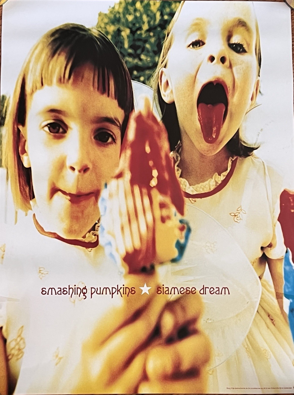 Smashing Pumpkins Poster Vtg 1993 Original 90s Siamese Dream Promo Poster 18×24