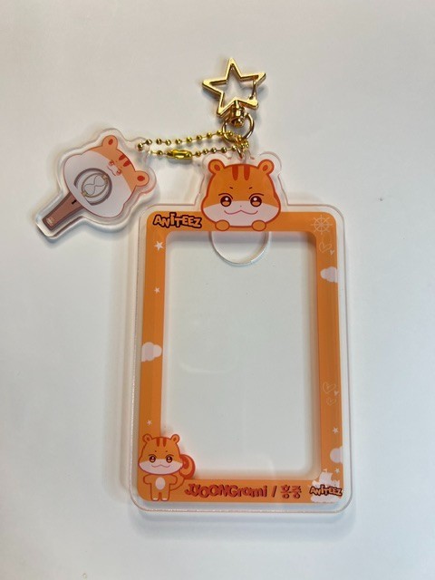 ATEEZ ANITEEZ photocard holder