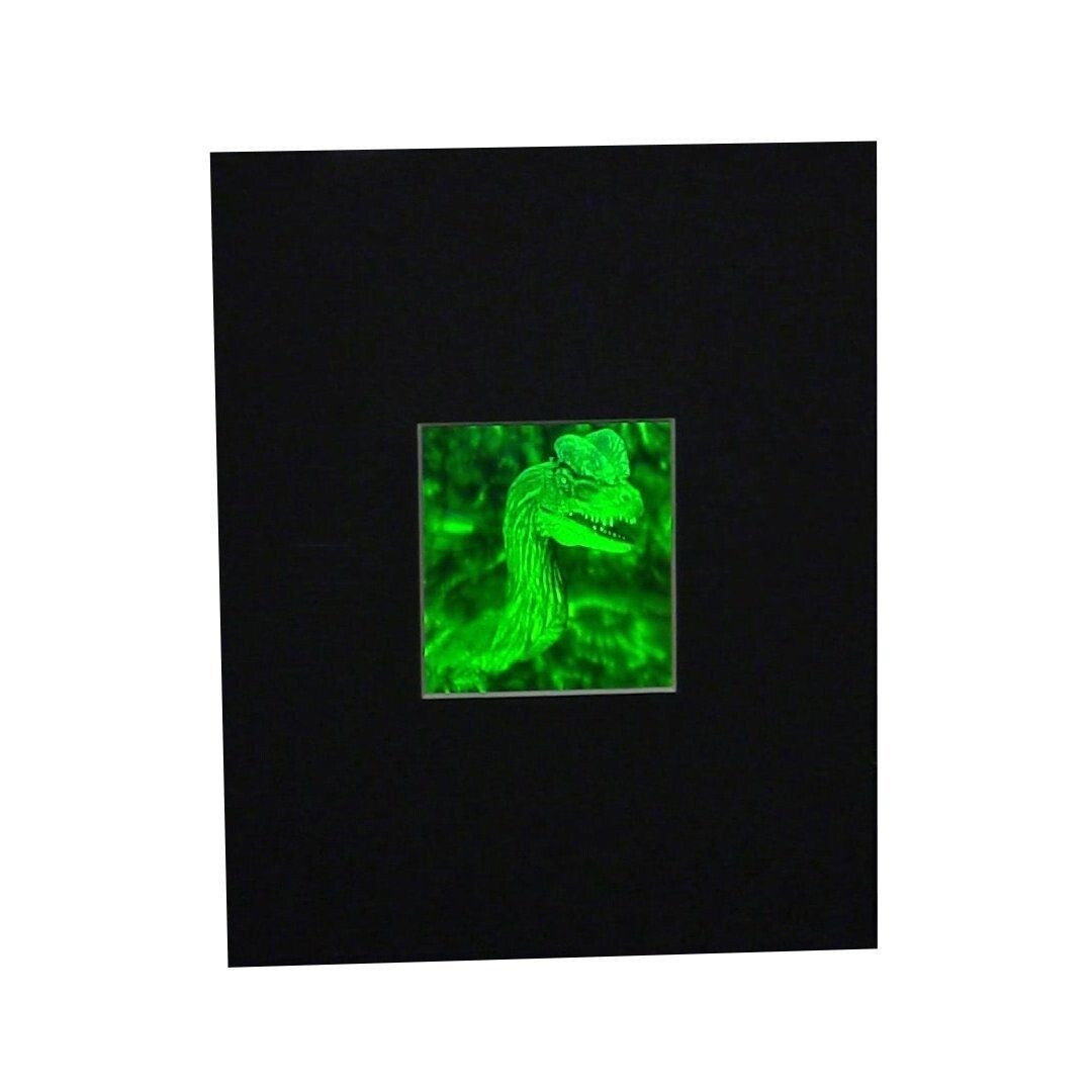 3D Jurassic Spitter Dinasaur 2-Channel Hologram Picture MATTED, Photopolymer