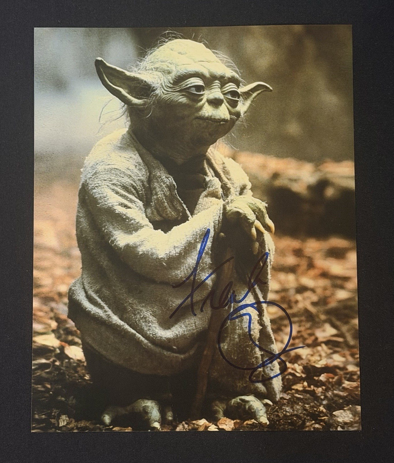 Frank Oz Yoda Signed Original 8×10 Photo With POP LOA/COA Star Wars Rare