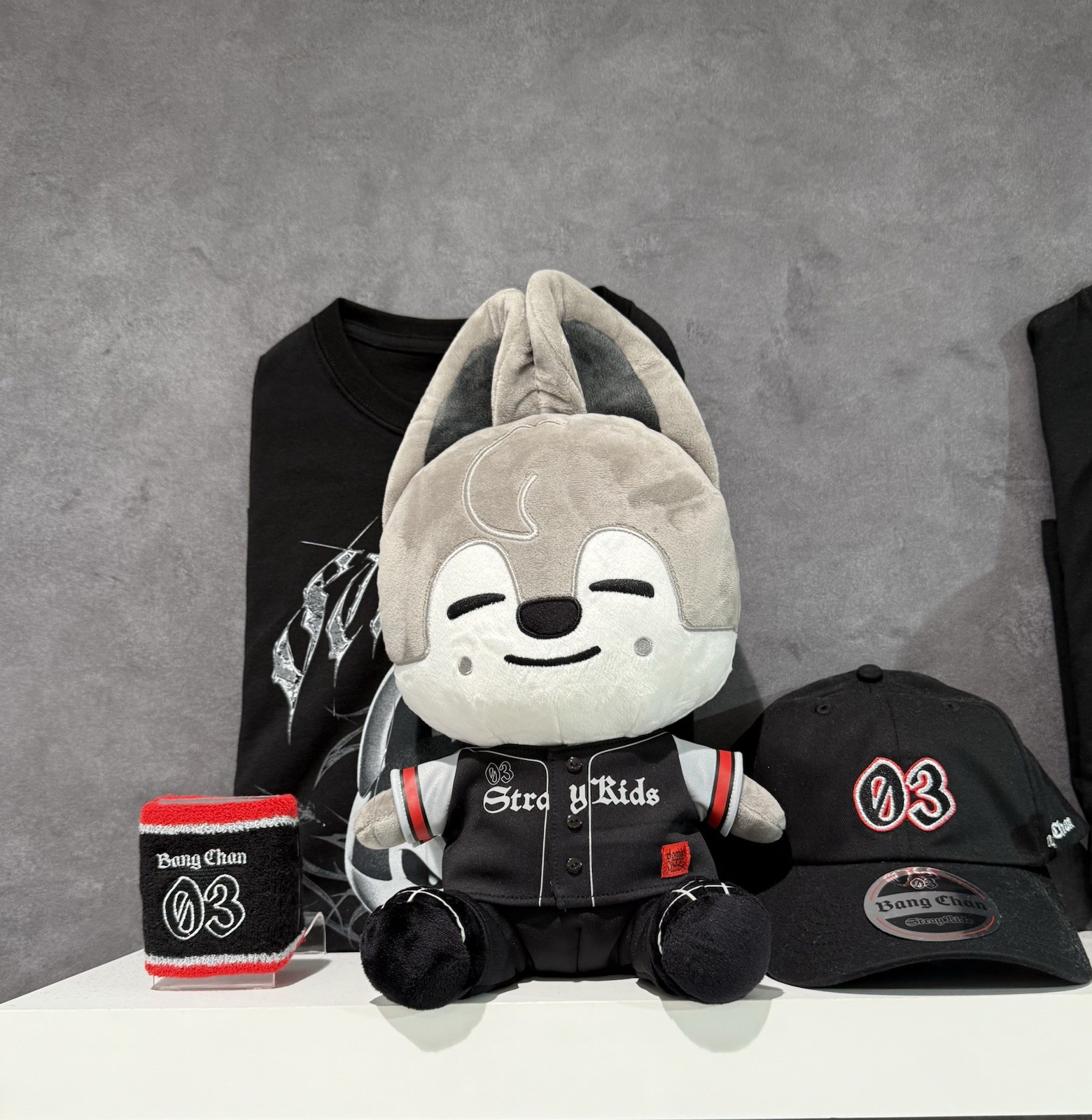 Stray Kids SKZOO Hugging Plush /SOFT TOY『World Tour dominATE JAPAN』