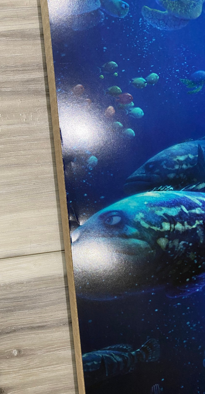 Disney Pixar FINDING DORY Movie Poster Double Sided DS 27×40 NEW! Authentic
