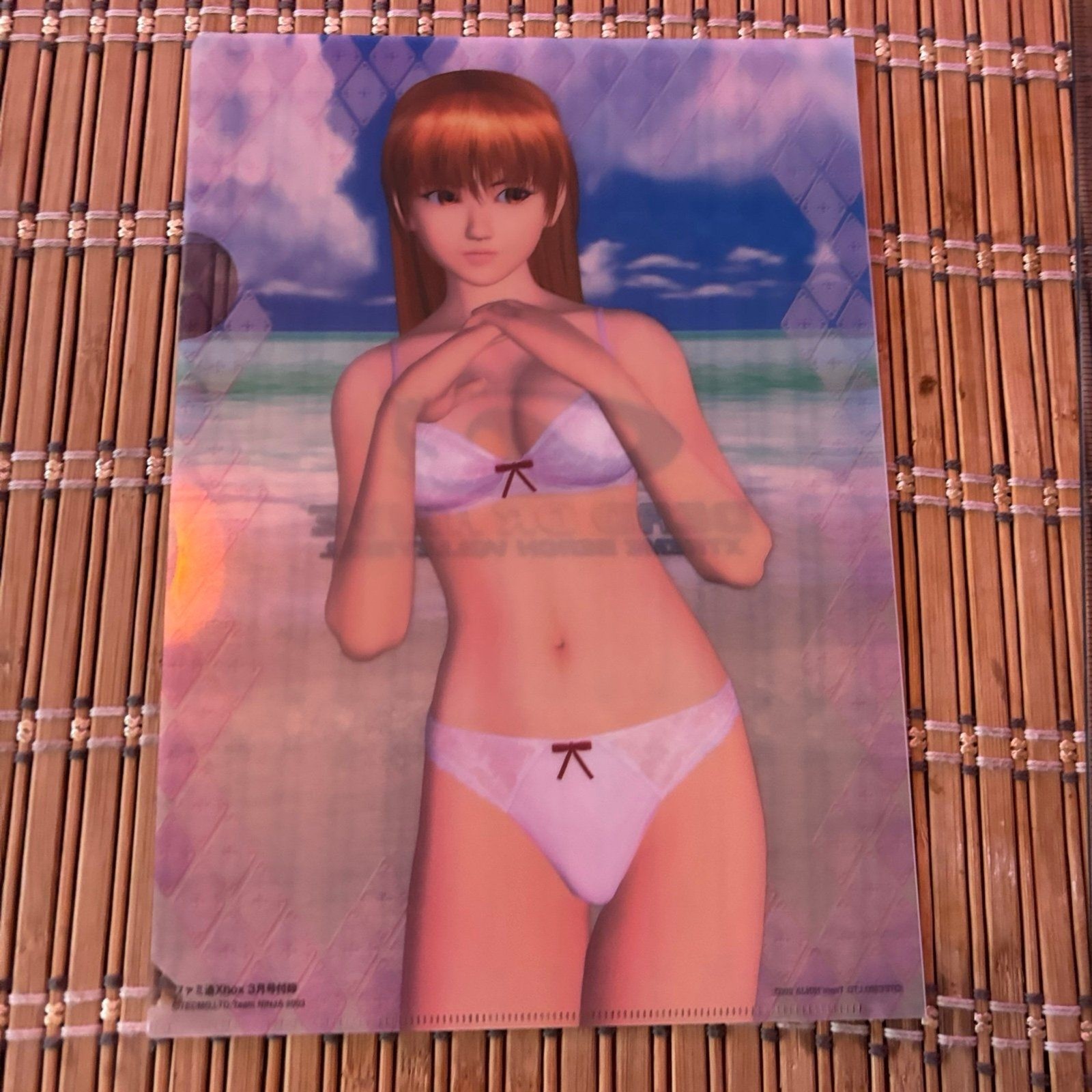 Kasumi – Dead or Alive Xtreme Beach Volleyball 2003 B5 Clear File