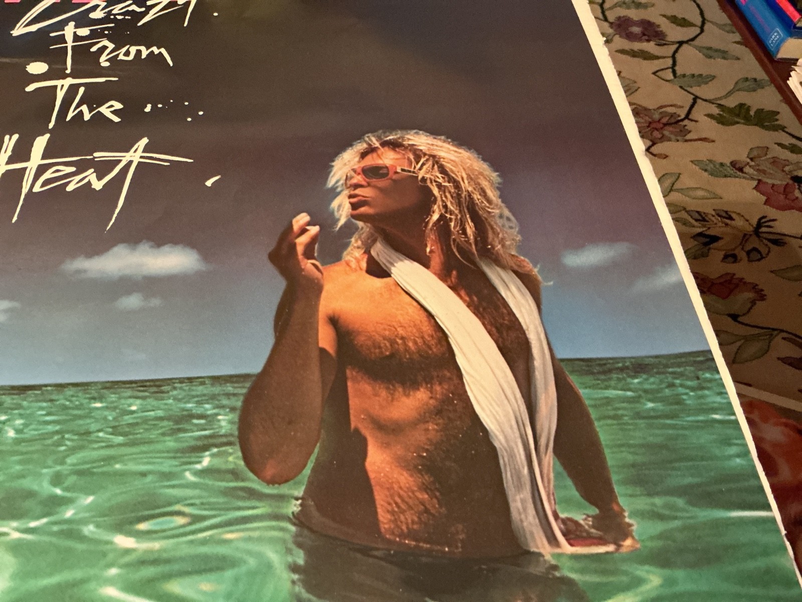 DAVID LEE ROTH Crazy From The Heat 1985 original promo poster 23” x 35”