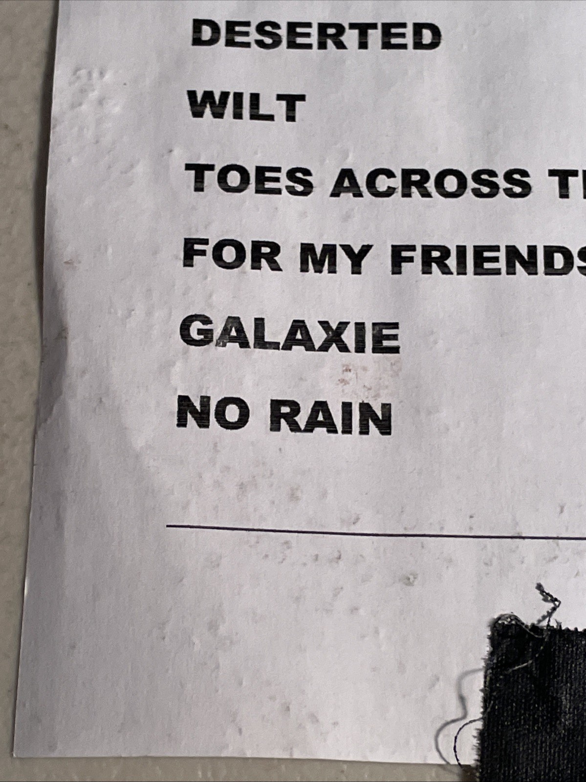 Blind Melon Band Set List Autographed SIGNED Ticket Christopher Thorn Guitarist