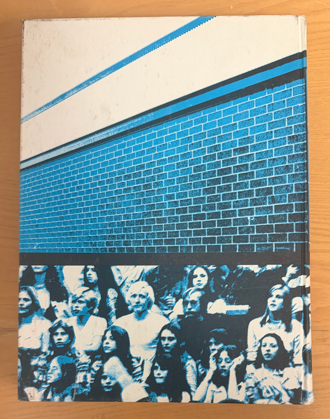 MICHELLE PFEIFFER High School Yearbook SENIOR Year EXCELLENT FREE Shipping!