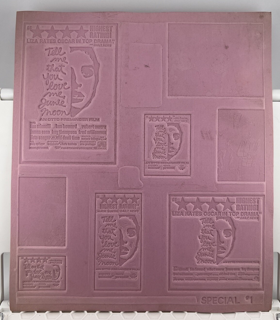 Vintage Tell Me That You Love Me, Junie Moon Liza Minnelli Movie Printing Mold