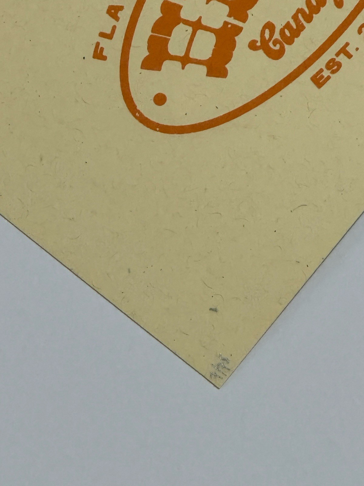 The Red Clay Strays Poster Mission Denver 10/31/24 Silkscreen #’d Show Edtn X/75