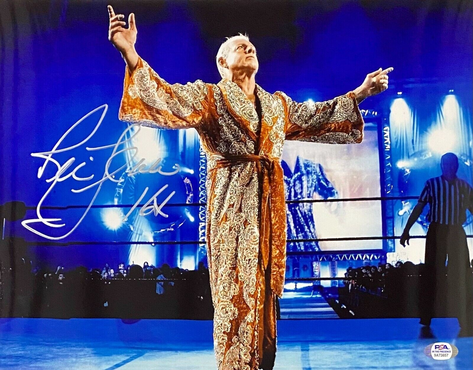 Ric Flair Nature Boy WWF WWE Glossy Wrestler 8×10 Photo Print RF35