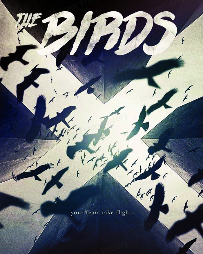 8×10 Print Anders T. Andersen Torstein Bjorkund The Birds 2019 #PSBD