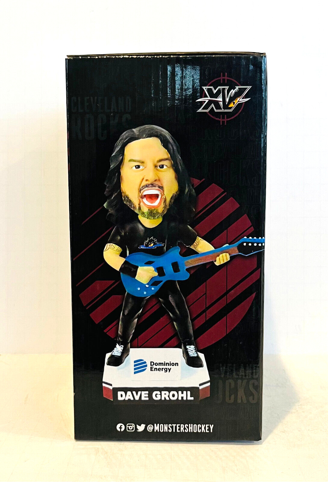 ** EMPTY DISPLAY BOX ** Dave Grohl Cleveland Foo Fighters Nirvana Bobblehead SGA