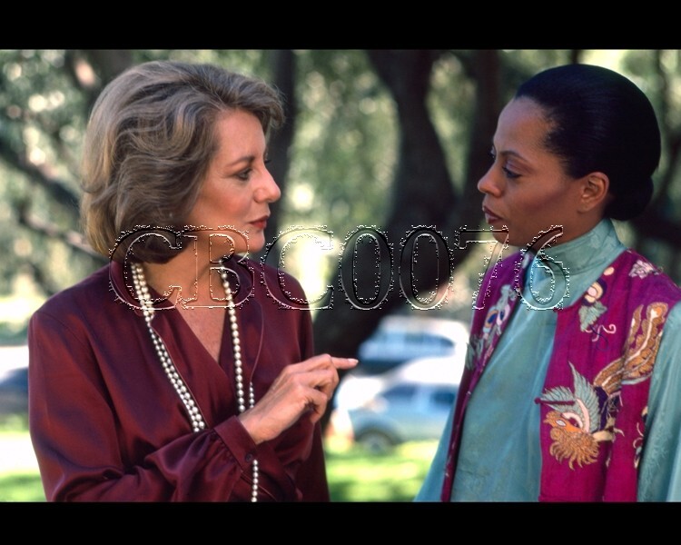 Diana Ross 8×10 Photo 1021-6 Barbara Walters
