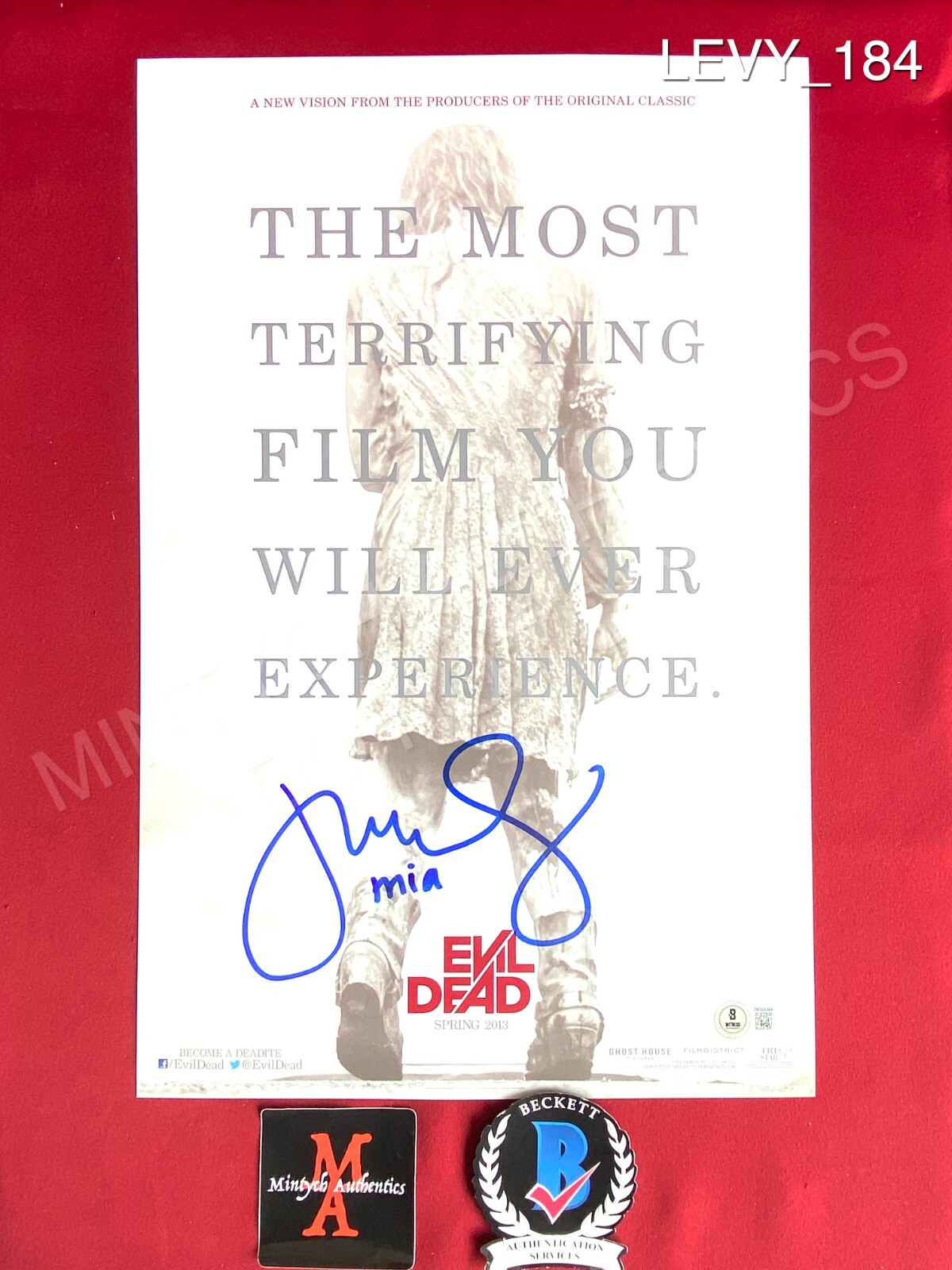 Jane Levy autographed signed 11×17 photo The Evil Dead Mia Beckett COA