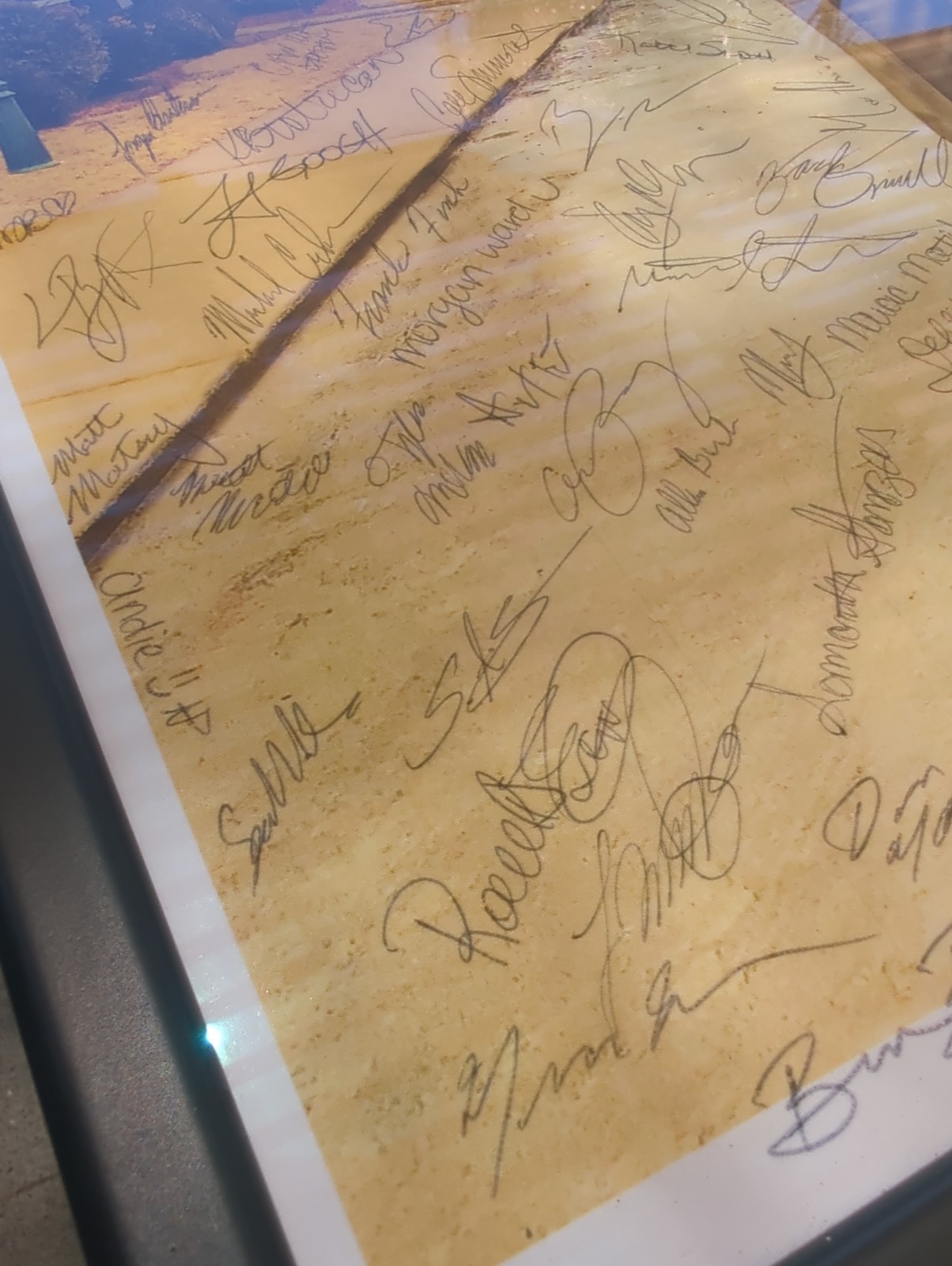 A Man Called Otto Tom Hanks Signed Poster From Cast And Crew Over 100 Signatures