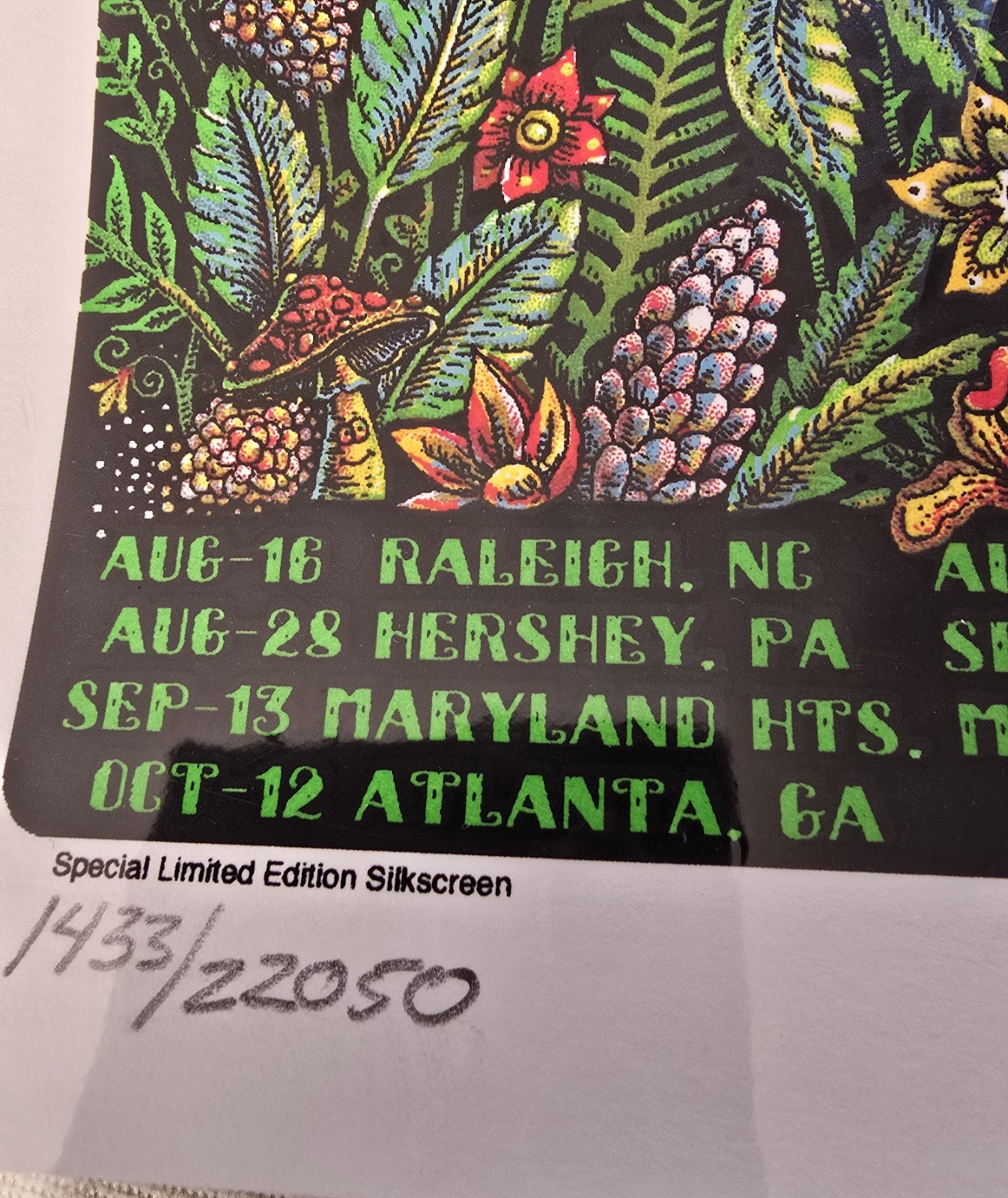 Dead and Company 2021 Tour Poster Bob Weir John Mayer #1433/22050 EMEK