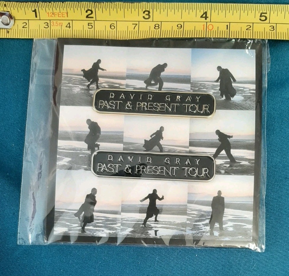 David Gray Past & Present Tour 2 Enamel Pin Set 2025 SEALED NEW