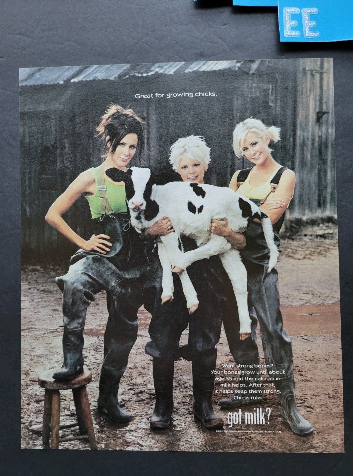 Dixie Chicks Got Milk? Promo Print Advertisement 2000
