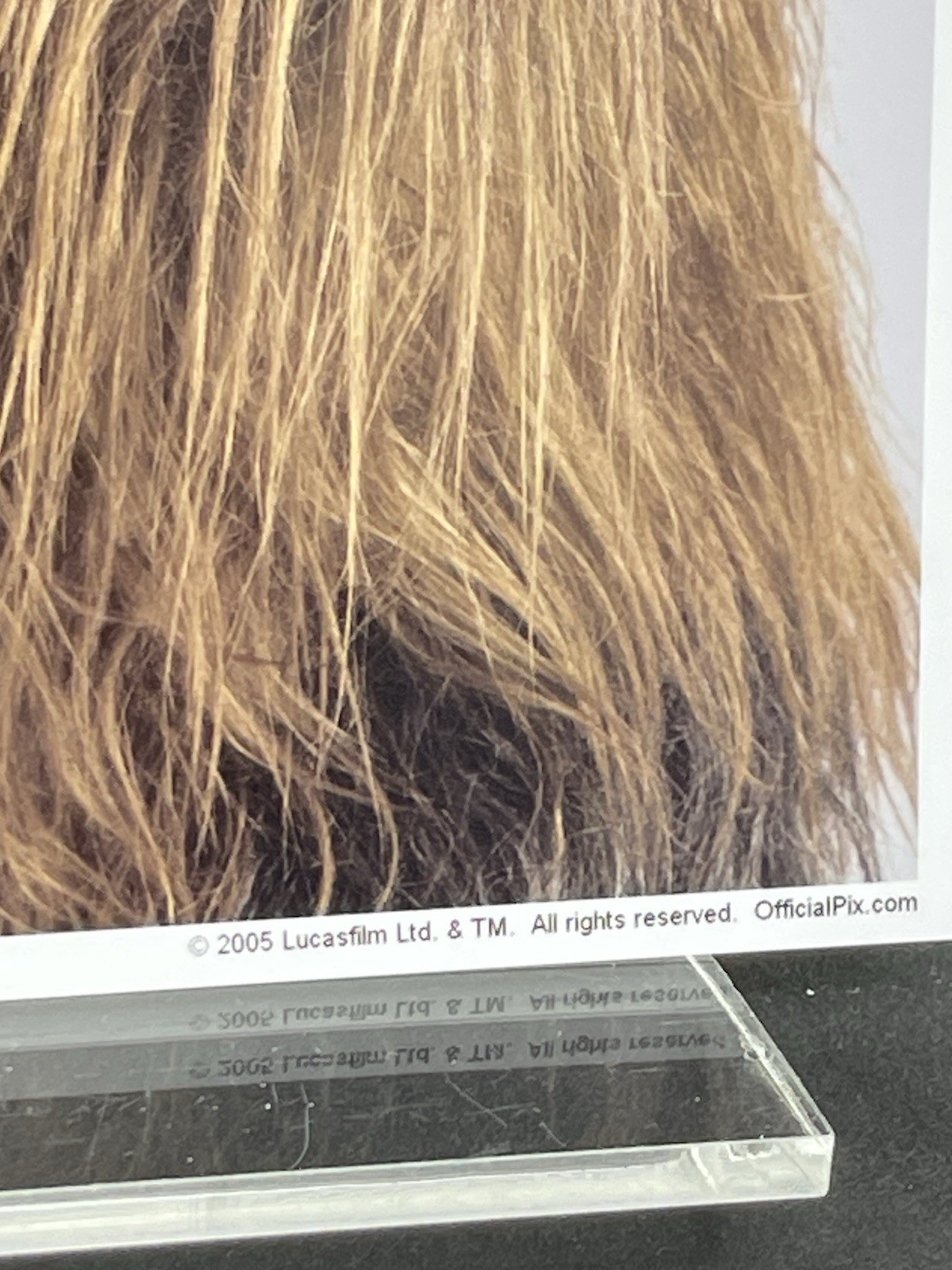 Peter Mayhew Chewbacca Hand Signed 8×10 JSA Certified Offical Pix