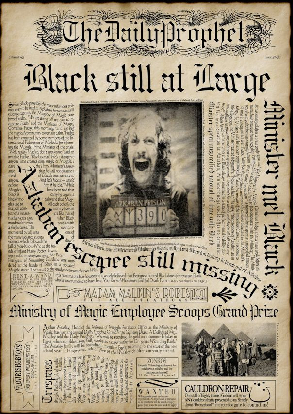 Harry Potter The Daily Prophet 11″ x 15.5″ Collector’s Poster Print