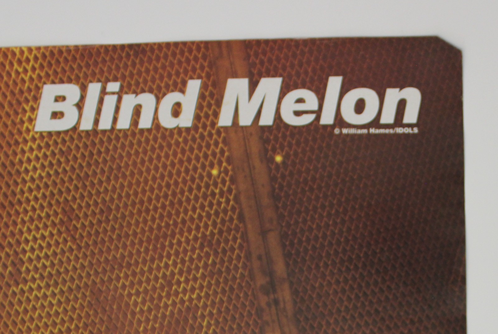 1990s BLIND MELON Double Sided Poster 16.25″ x 23″ (54.5 x 41.5cm) Spain Vintage