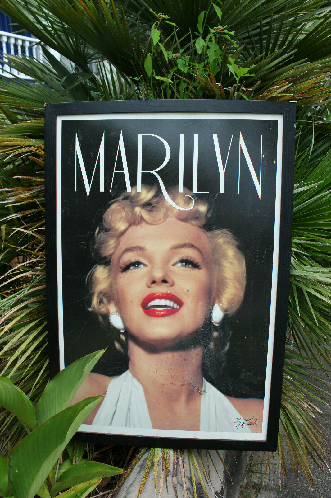 MARILYN MONROE FRAMED/ENLARGED PHOTO ART,BERNARD OF HOLLYWOOD,BRUNO BERNARD,1954