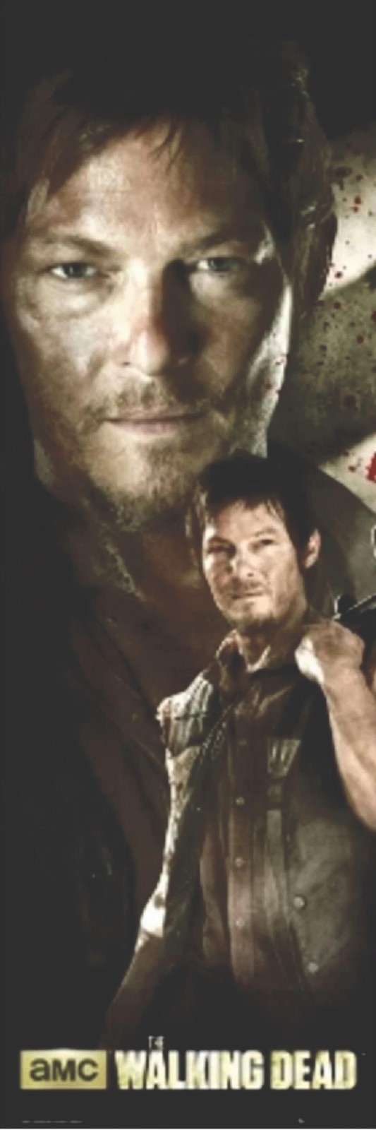 The WALKING DEAD DARYL Long Door Poster 2013 AMC Scorpio 21 x 62 – S01 -#DP355