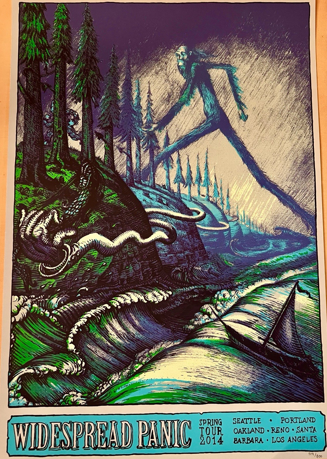 Widespread Panic 2014 Tour Welker Poster Limited Edition Hand Numbered 509 /800