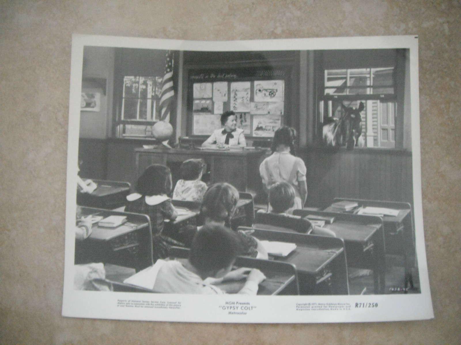 Gypsy Colt 1971 B&W 8×10 Promo Photo Original Lobby Card