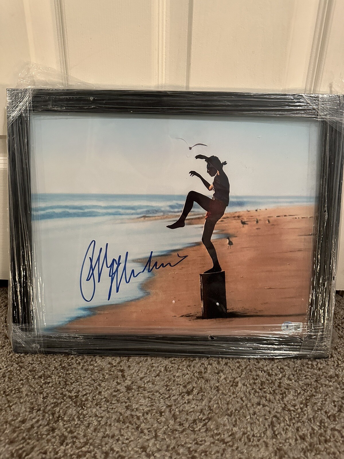 Ralph Macchio Karate Kid Autographed Framed Photo