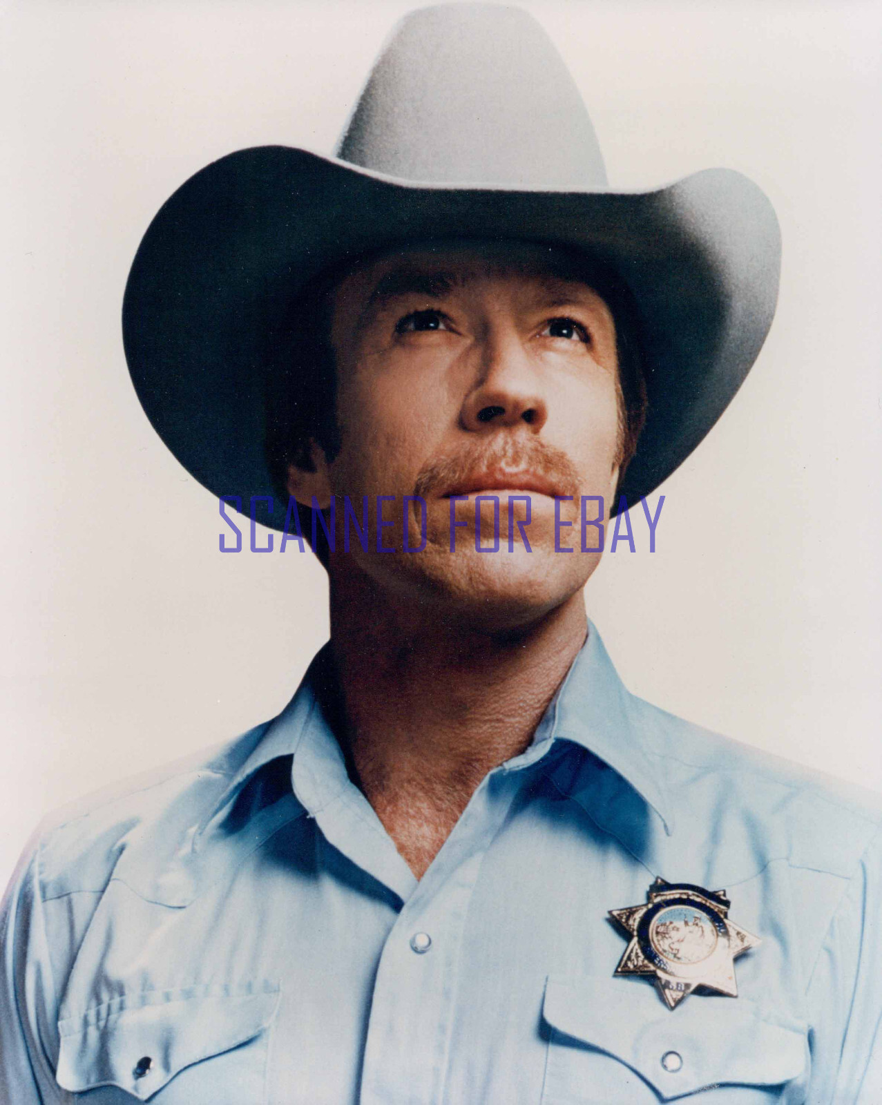 SILENT RAGE CHUCK NORRIS TERRIFIC 8×10 PHOTO