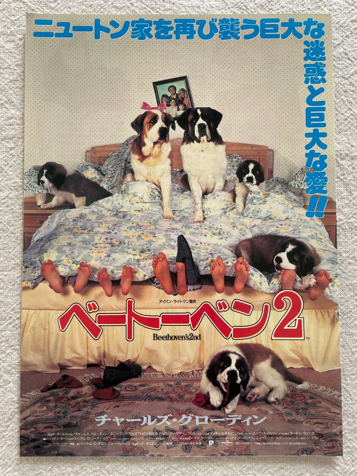 Beethoven’s 2nd 1994 Movie Flyer Japan Chirashi B5 Rod Daniel Charles Grodin