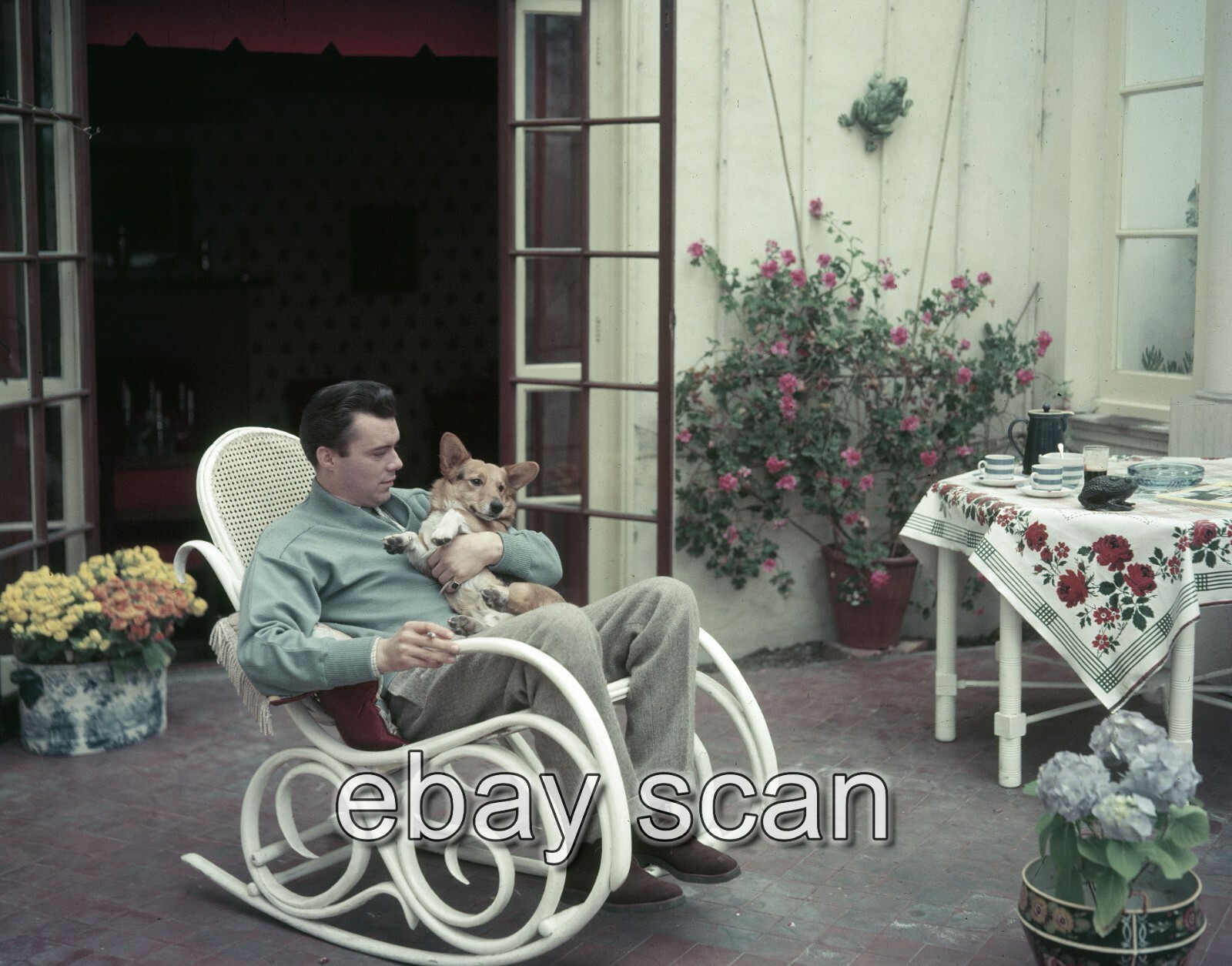 DIRK BOGARDE CANDID WITH HIS DOG AT HOME 8X10 PHOTO 3
