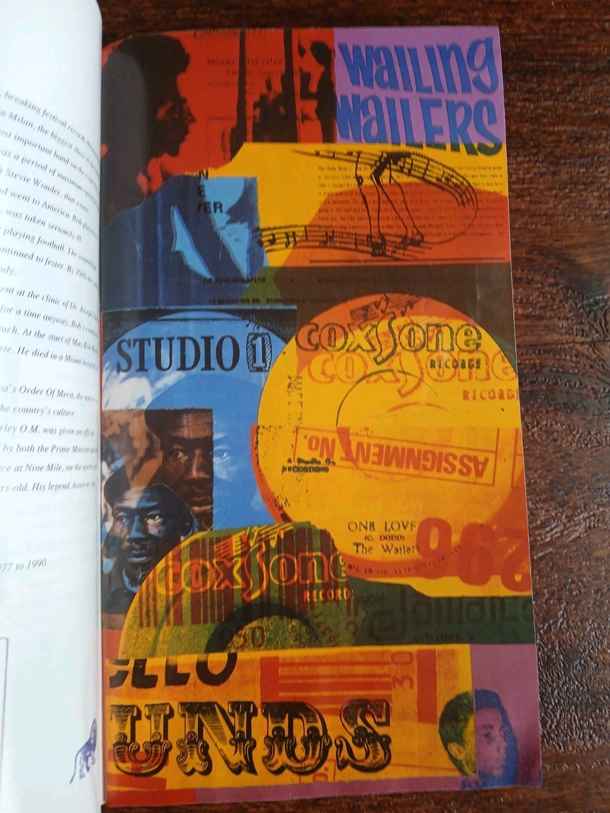 🔥🎶Bob Marley – Catch A Fire The Life of Bob Marley and Songs Of Freedom Books