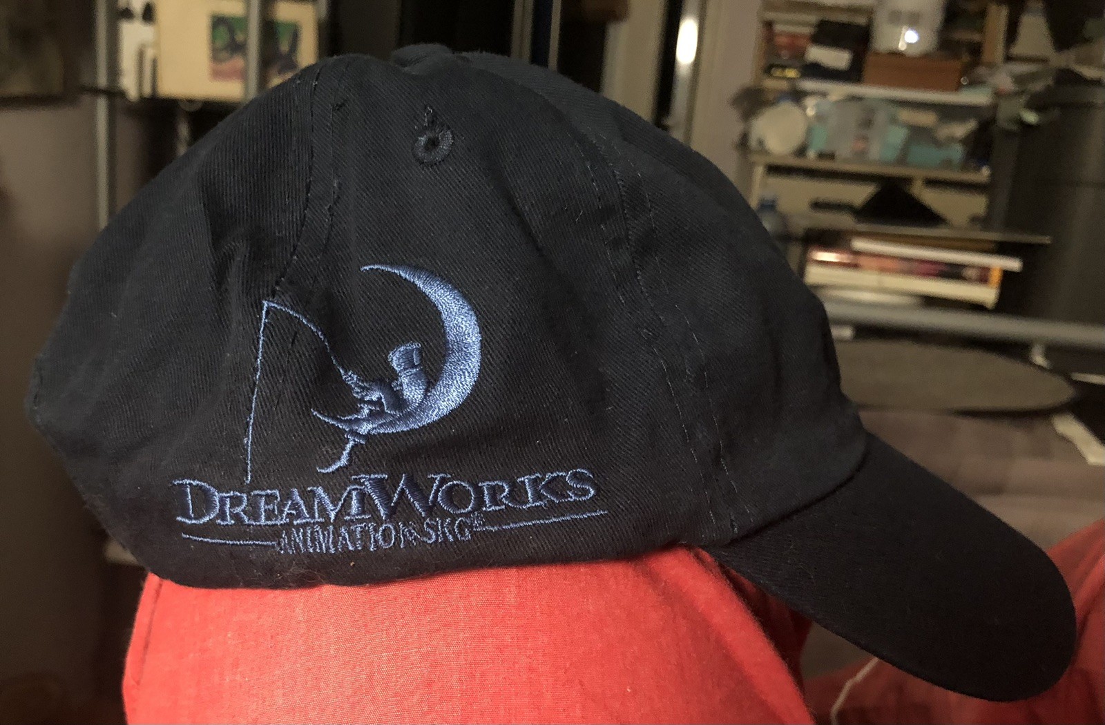 DREAMWORKS Animation SKG Hat From 2010 Embroid Logo on Side Cotton RARE NEW
