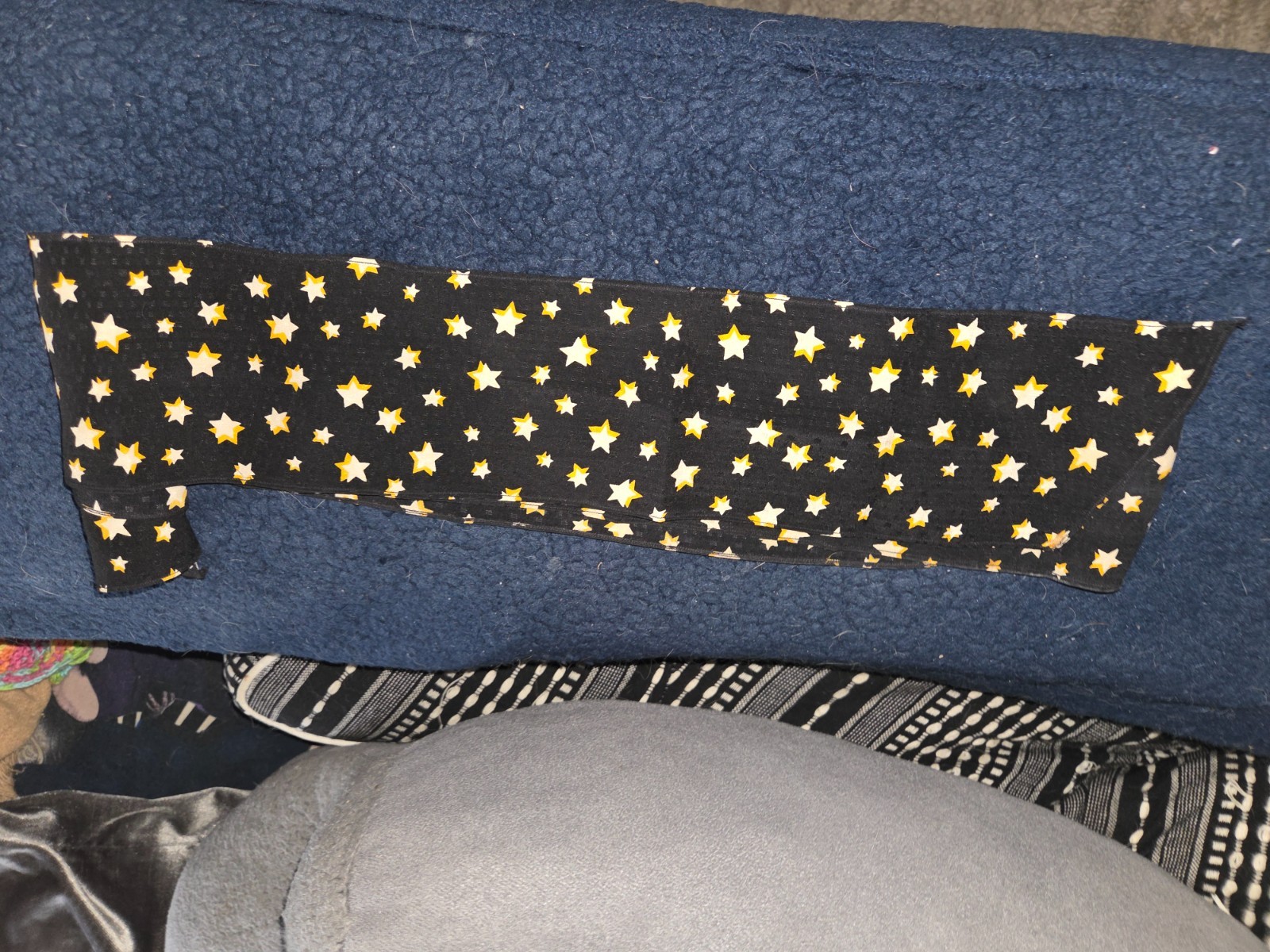 Debbie Reynolds Owned Worn Long Ascot/Scarf from Her Son COA Todd Fisher