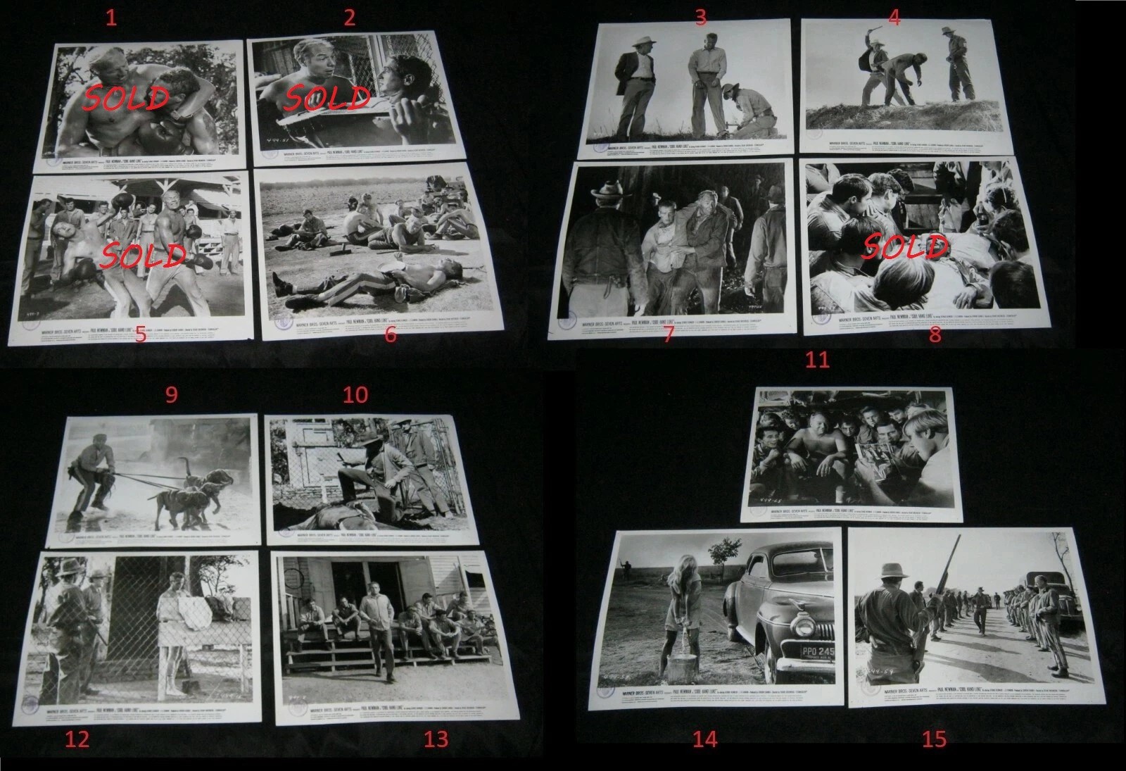 Orig COOL HAND LUKE Press Kit Stills BUYERS CHOICE $15 EACH $8 COMBINED SHIPPING