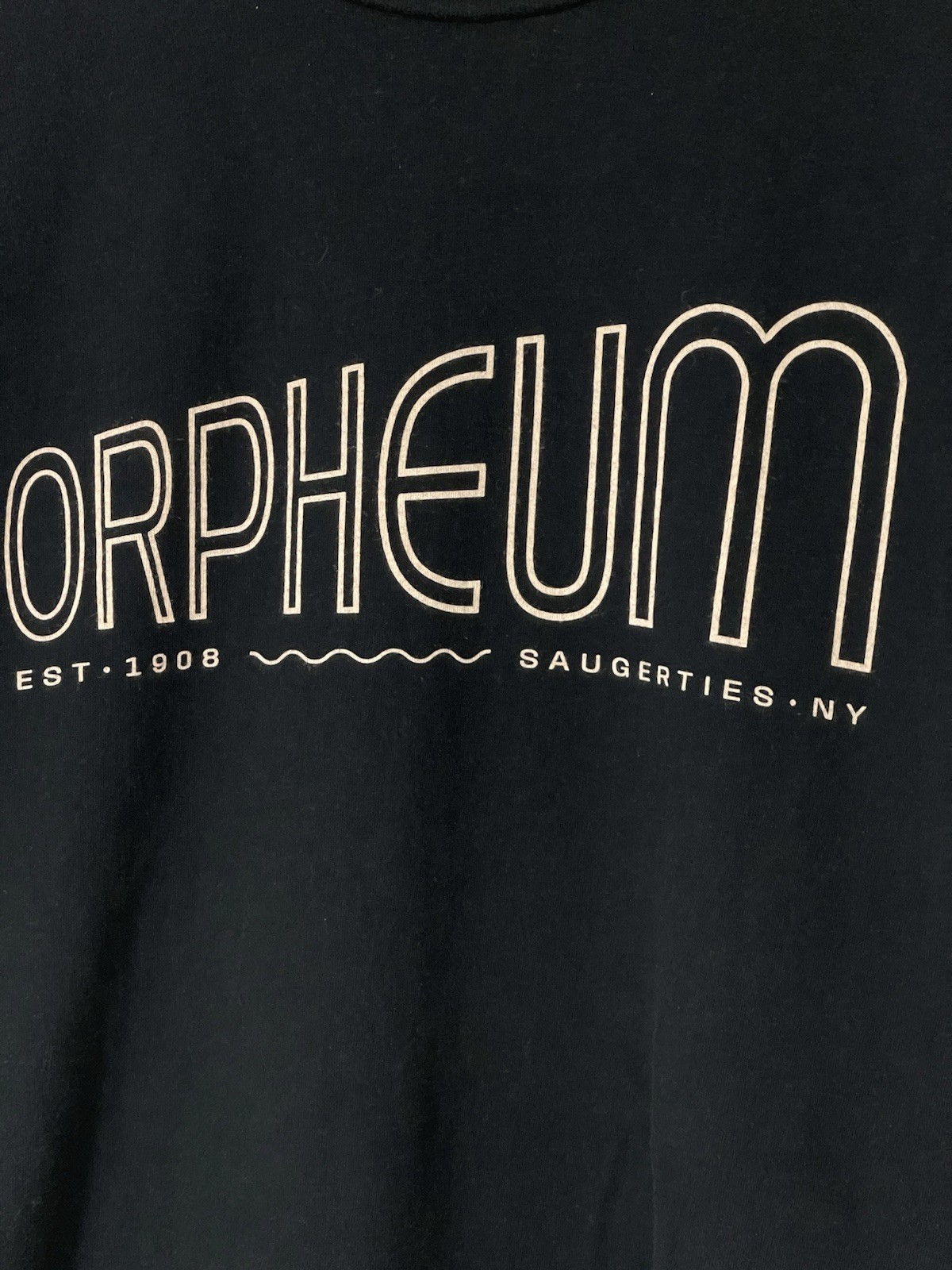 Vintage Orpheum Theater Upstate Films T-shirt Black Medium Saugerties New York