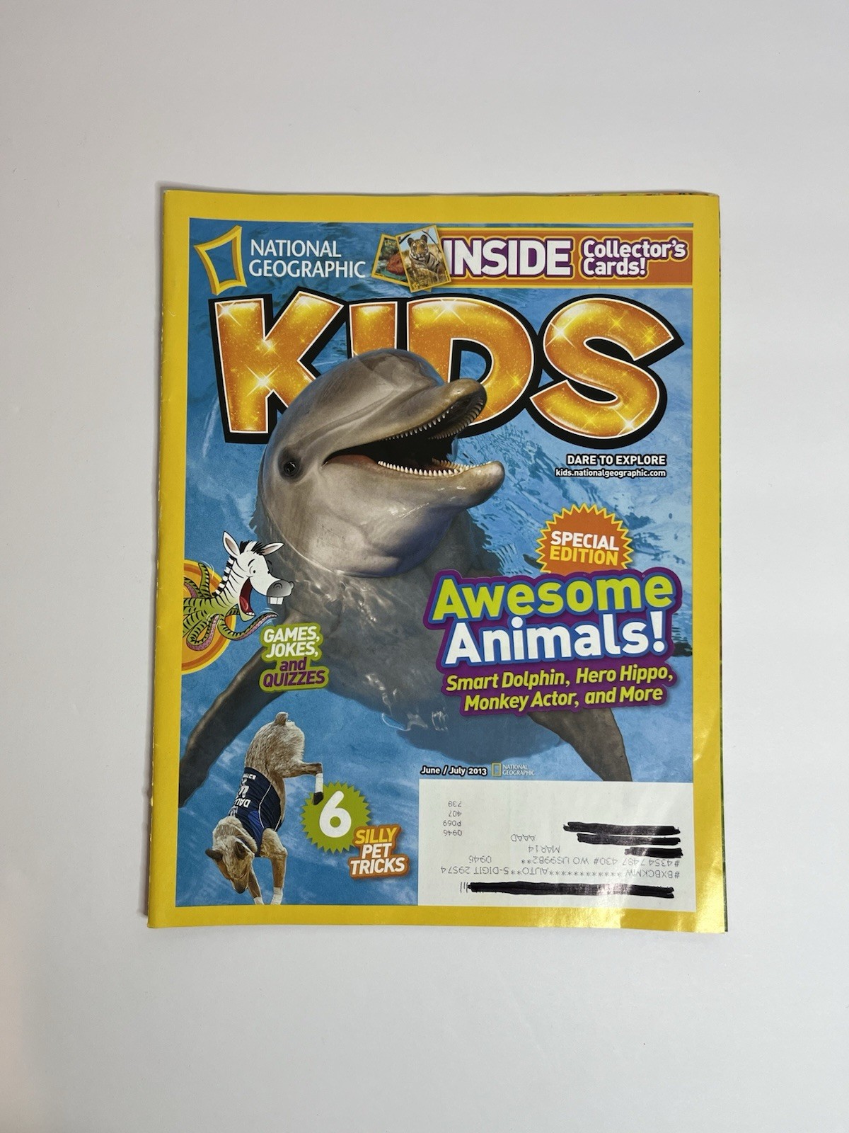 Nintendo Magazine Advertisements Pokemon Animal Crossing Donkey Kong Mario Mii