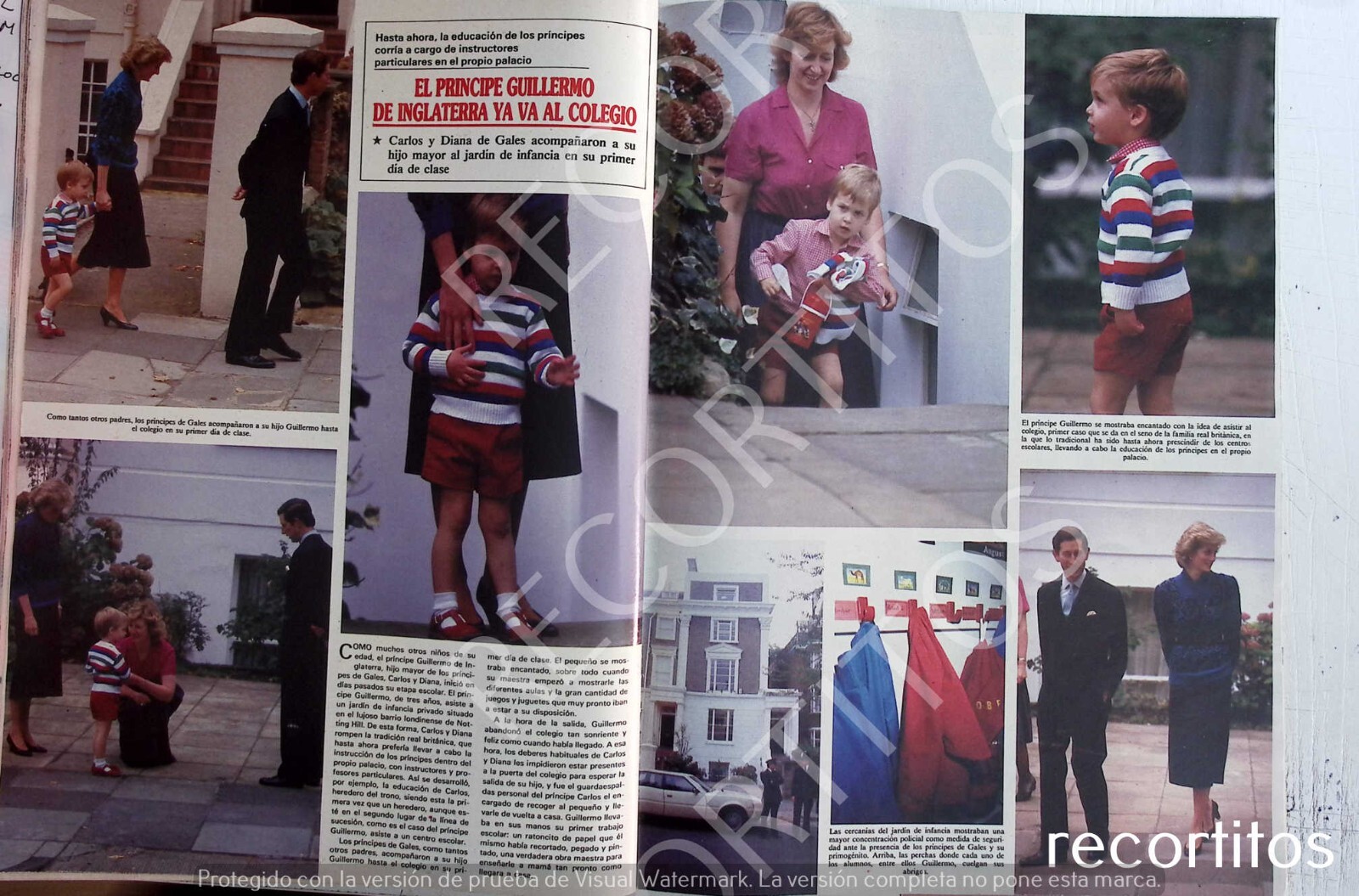 CLIPS S 2382 LADY DI DIANA OF WALES PRINCE GUILLERMO