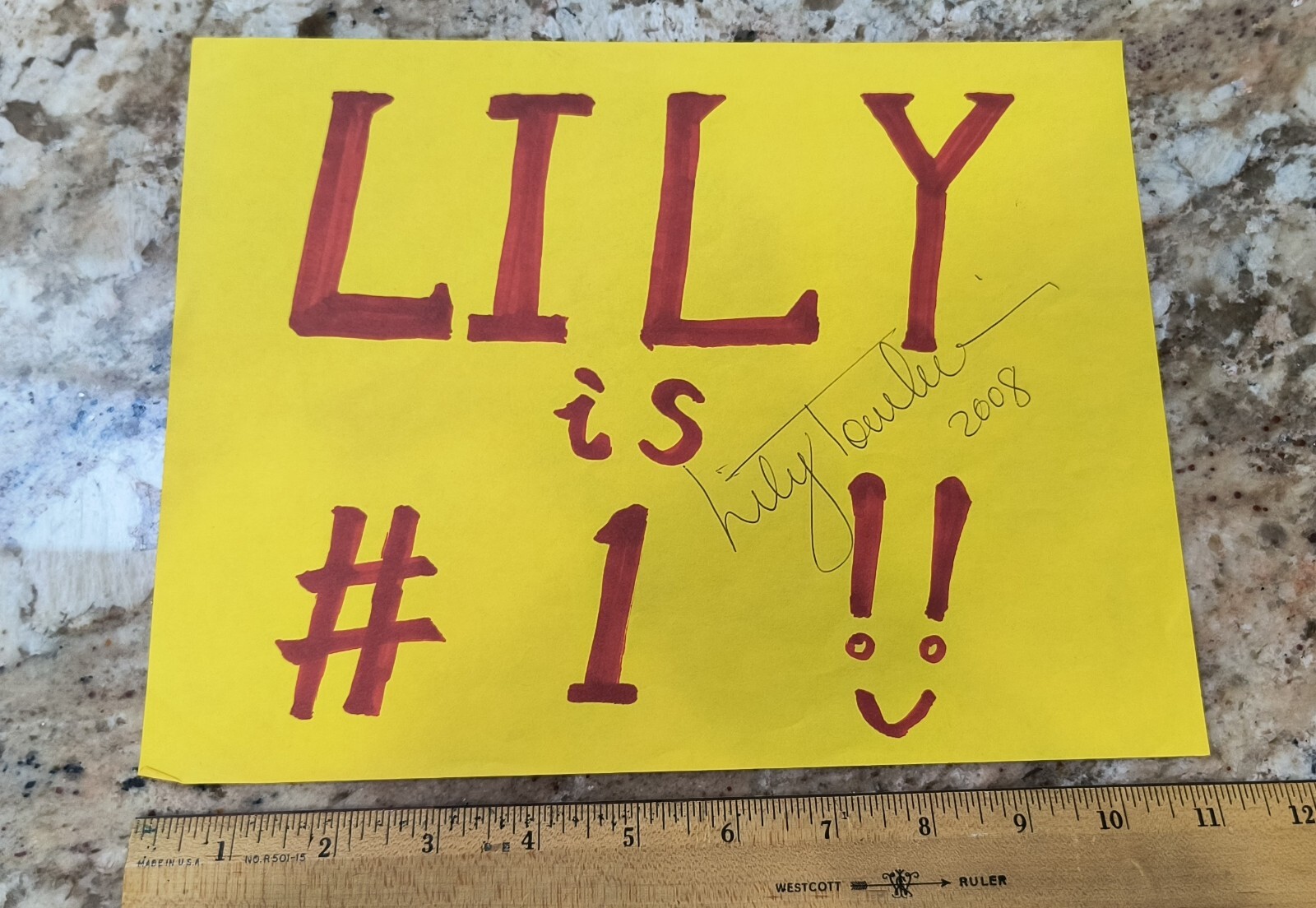 LILY TOMLIN HAND SIGNED Autographed 8 1/2″ X 11″ Handmade Fan Sign 2008 #1