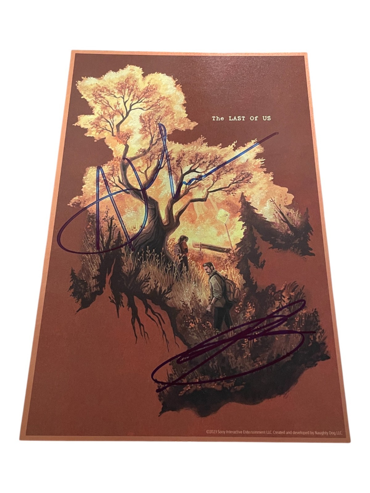 Ashley Johnson & Troy Baker Signed Lithograph Last of Us Autograph JSA COA